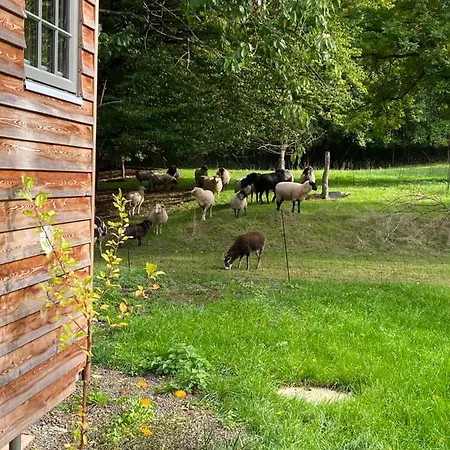 Grimmwald Tiny House *