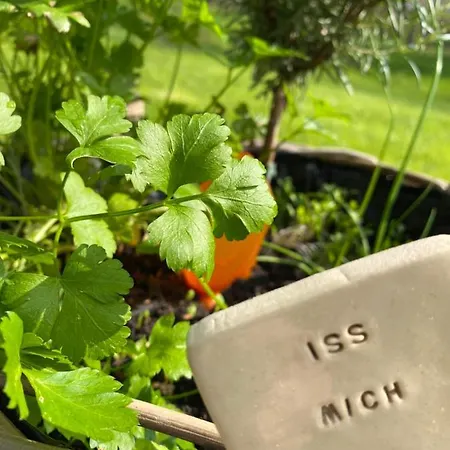 Grimmwald Tiny House * Calden