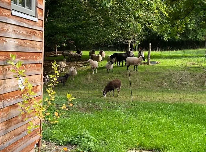 Grimmwald Tiny House *